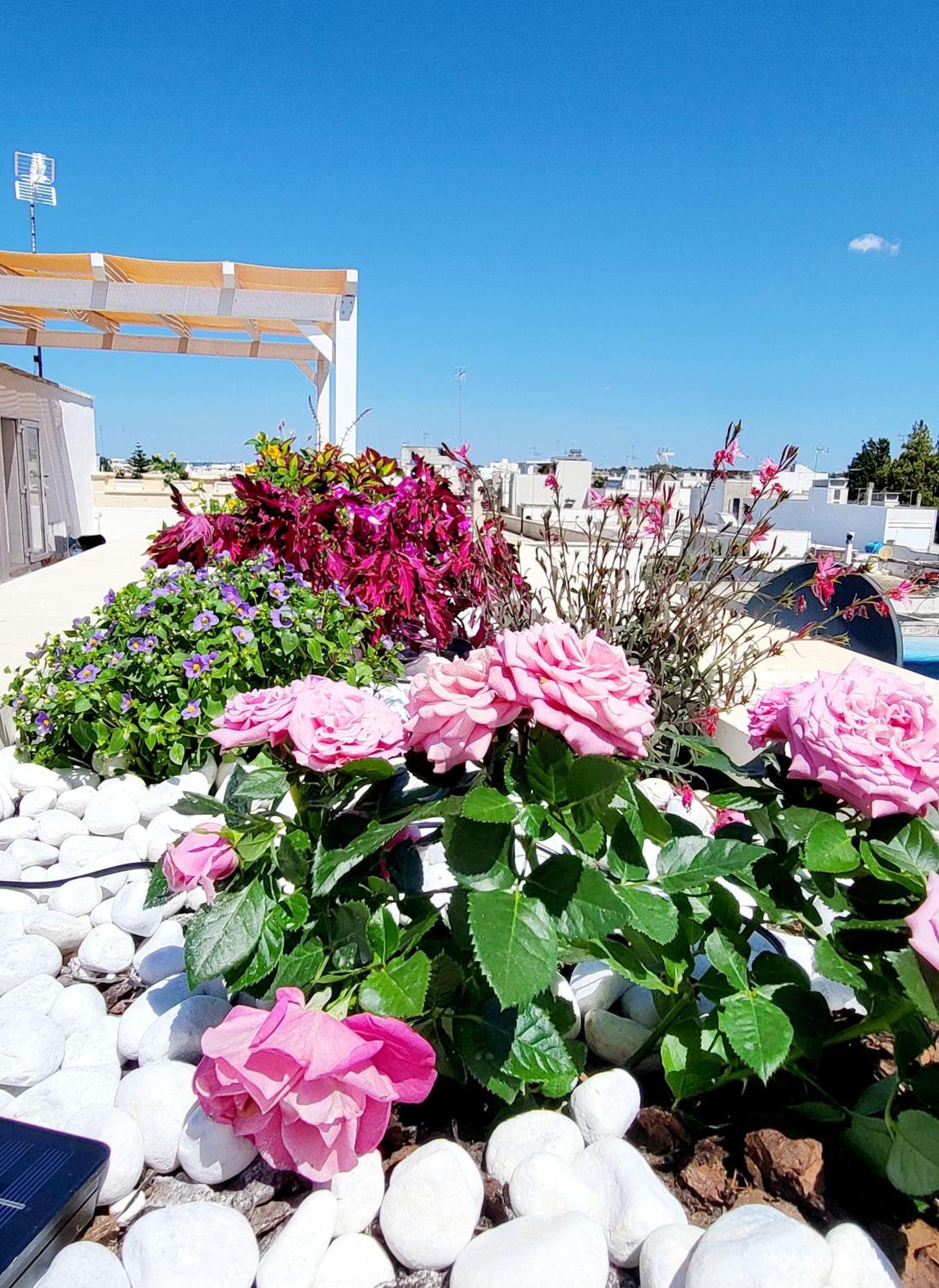 Aquamarina Rooms Porto Cesareo Exterior foto
