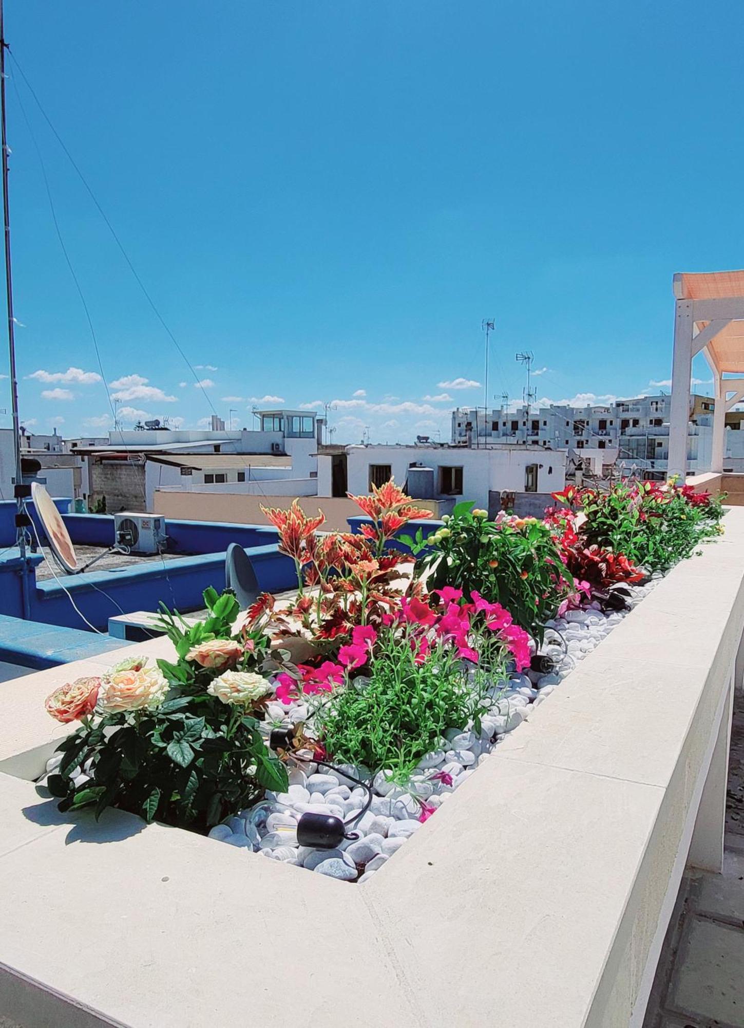 Aquamarina Rooms Porto Cesareo Exterior foto